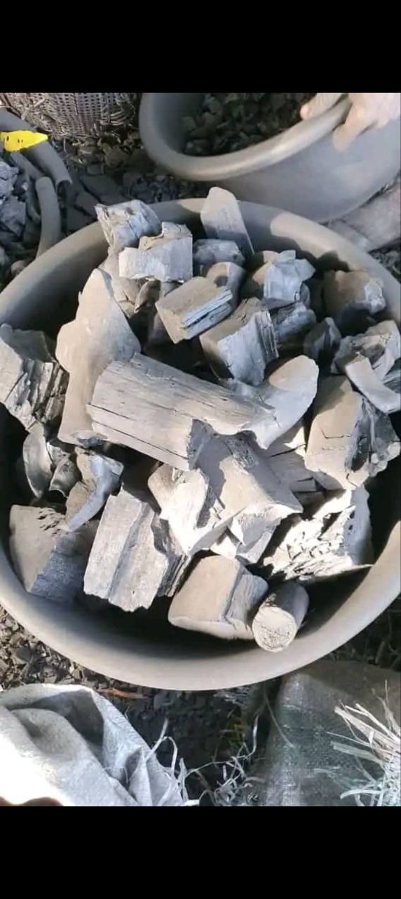 Hardwood charcoal pieces