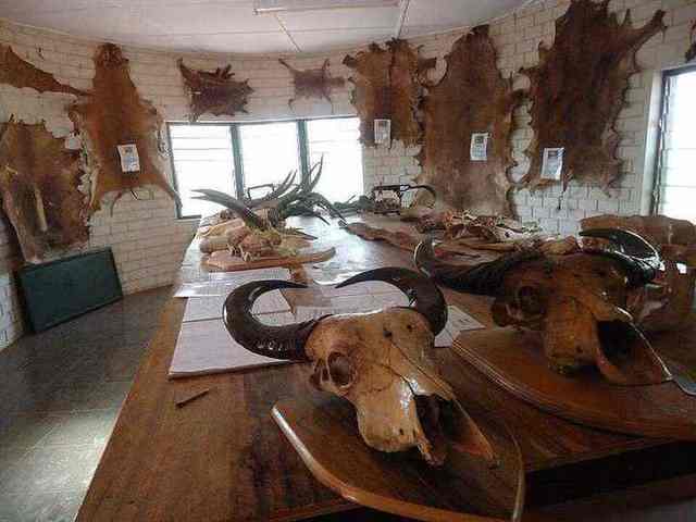Mole Museum in Ghana