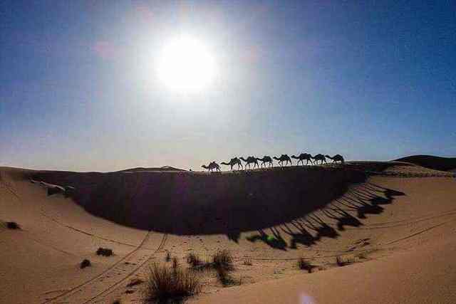Road from Marrakech toward the Sahara