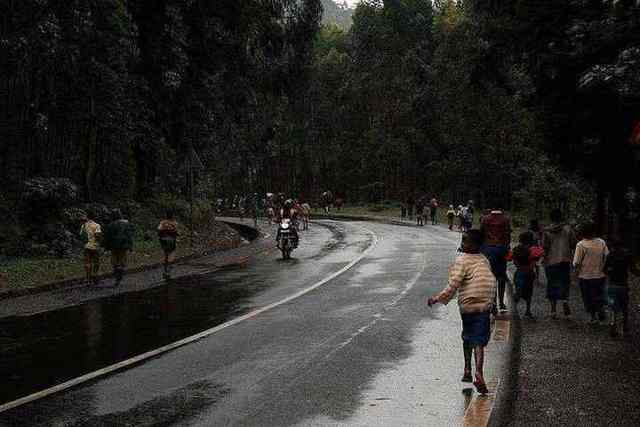 Nyungwe road
